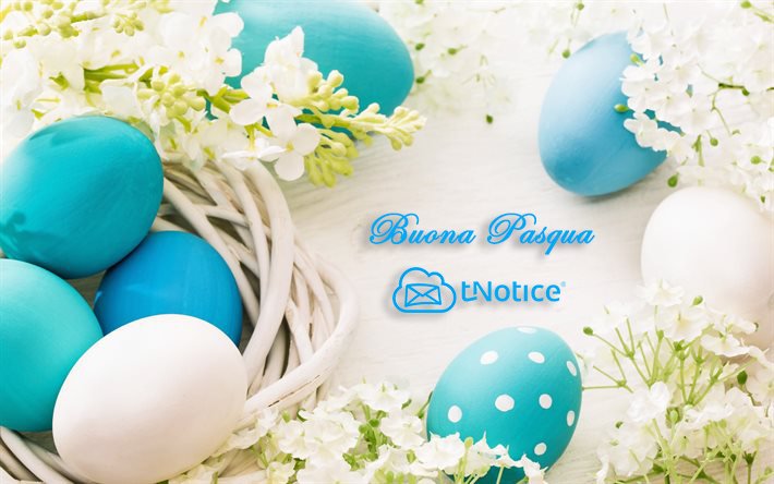 tNotice's tweet photo. Per noi il #tempo è prezioso. Circondatevi delle persone e delle cose che amate nella vita. Buona Pasqua a tutti dal team #tNotice.
#laRaccomandataElettronica #DigitalTransformation #19aprile #FridaysForFurture #buonapasqua https://t.co/3opbHFboKt