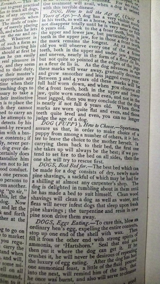 TVanNoort's tweet photo. How to choose a puppy? Youman's dictionary of everyday wants (pub. 1884) suggests setting the litter's bed on fire and seeing which the mother saves first. https://t.co/ok0XaxrMj8