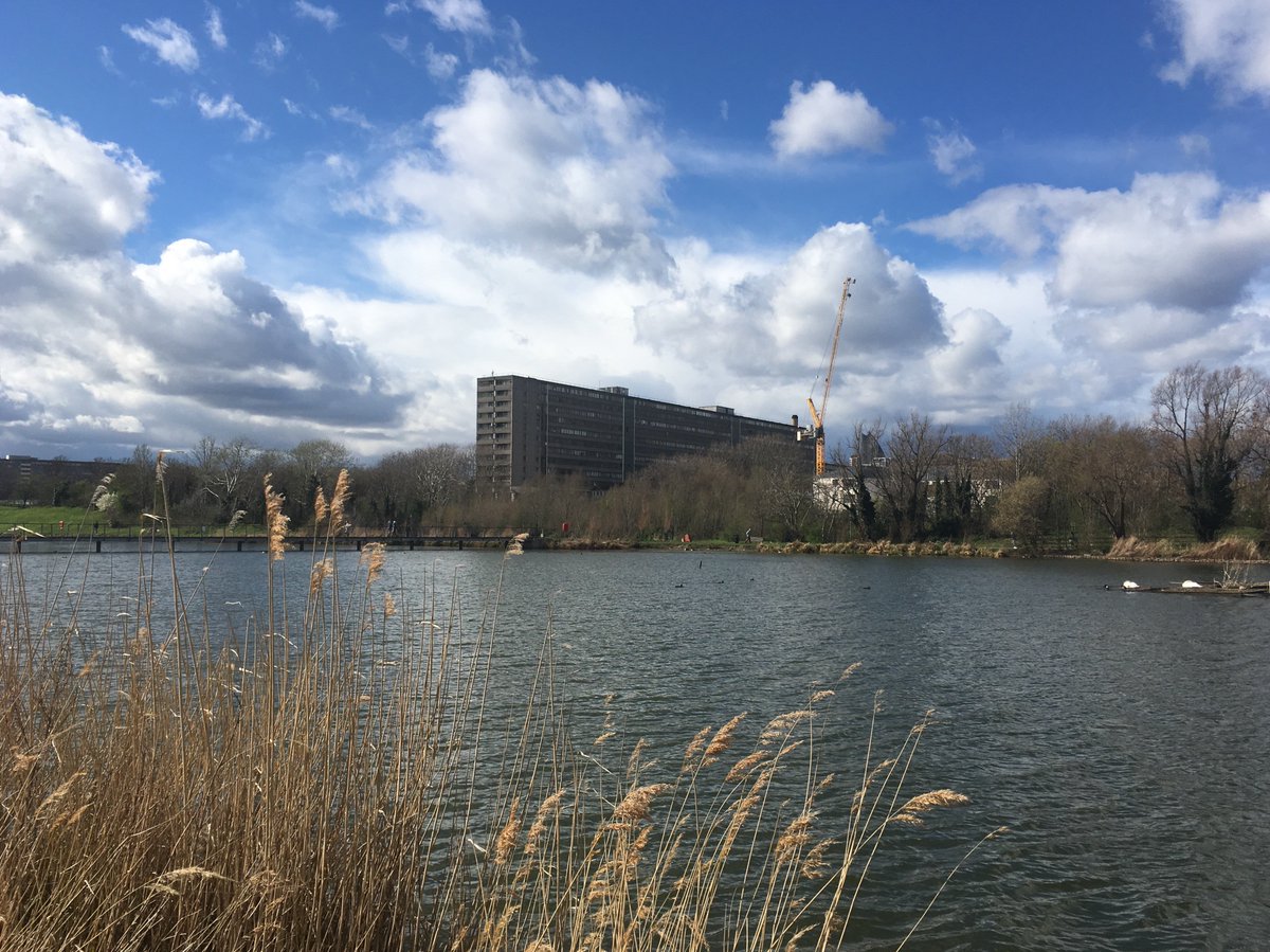 burgessparkrun's tweet photo. The good news is the weather is gorgeous! The less good news is we need at least another 3 people to help tomorrow. If you're a fast runner, you could even run then volunteer! Please let us know if you're one of our last-minute heroes - who knows, there may even be cake in it... https://t.co/xRMkEBMGpI