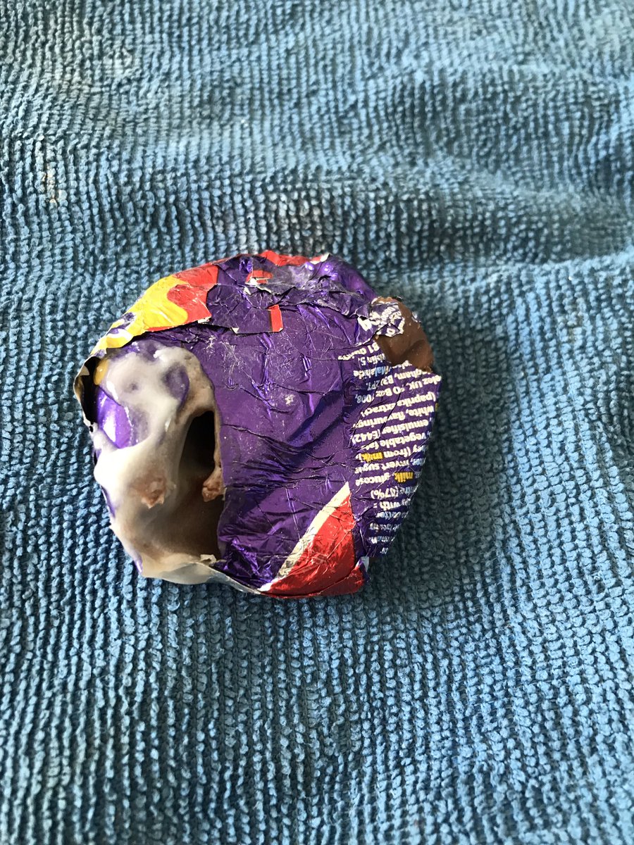 Graham Winter tweet media