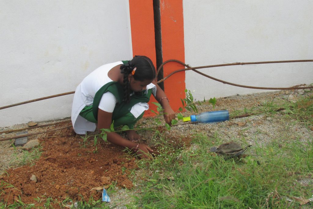 cgrindiaimpact's tweet photo. Mallappa Gutta Plantation.
For more info: https://t.co/Ju8DDhd3xk
#CouncilforGreenRevolution #Sustainable #Environment #EnvironmentalProtection #Plantation #PlantationofTrees #SaveTrees #Balikavanam #SustainableDevelopment #EnvironmentalprotectionandConservation https://t.co/fc4Y3mPgPg