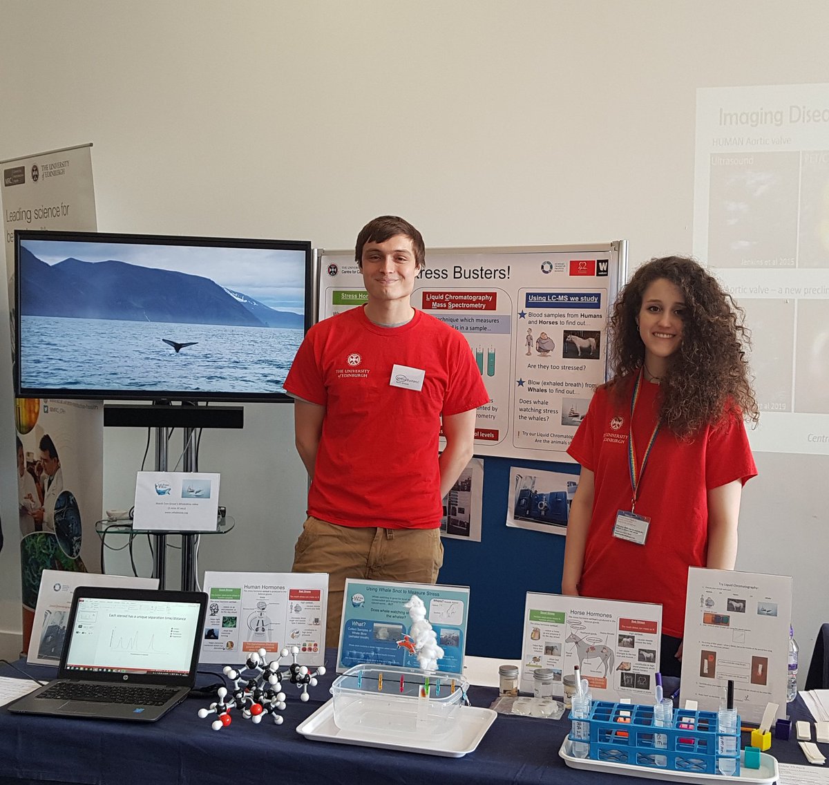 CortisolNetwork's tweet image. All ready with our 'Stress Busters' stand @NtlMuseumsScot 19th&amp;amp;20thApril for #MedicalFrontiers Talk to our researchers about cortisol, mass spectrometry, chromatography, health&amp;amp;whales @EdSciFest #EdUniEdSciFiFest @EdMassSpecCore @EdUniCVS @WhaleWiseLive @EdiburghCRF @ScienceUoE