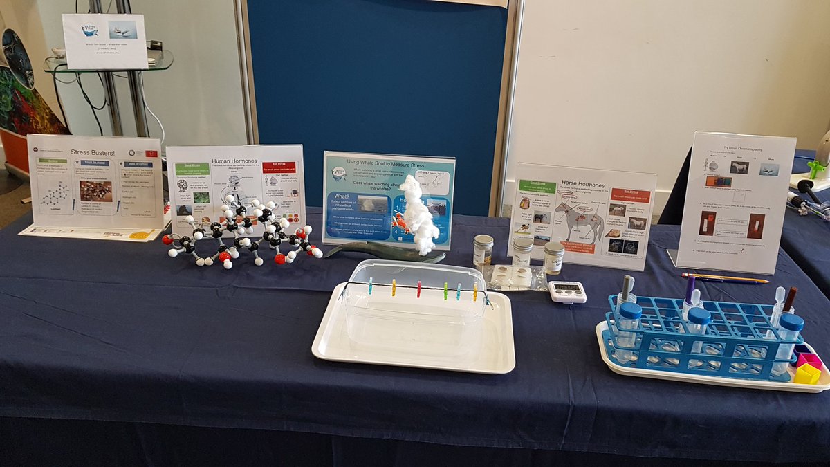 CortisolNetwork's tweet image. All ready with our 'Stress Busters' stand @NtlMuseumsScot 19th&amp;amp;20thApril for #MedicalFrontiers Talk to our researchers about cortisol, mass spectrometry, chromatography, health&amp;amp;whales @EdSciFest #EdUniEdSciFiFest @EdMassSpecCore @EdUniCVS @WhaleWiseLive @EdiburghCRF @ScienceUoE
