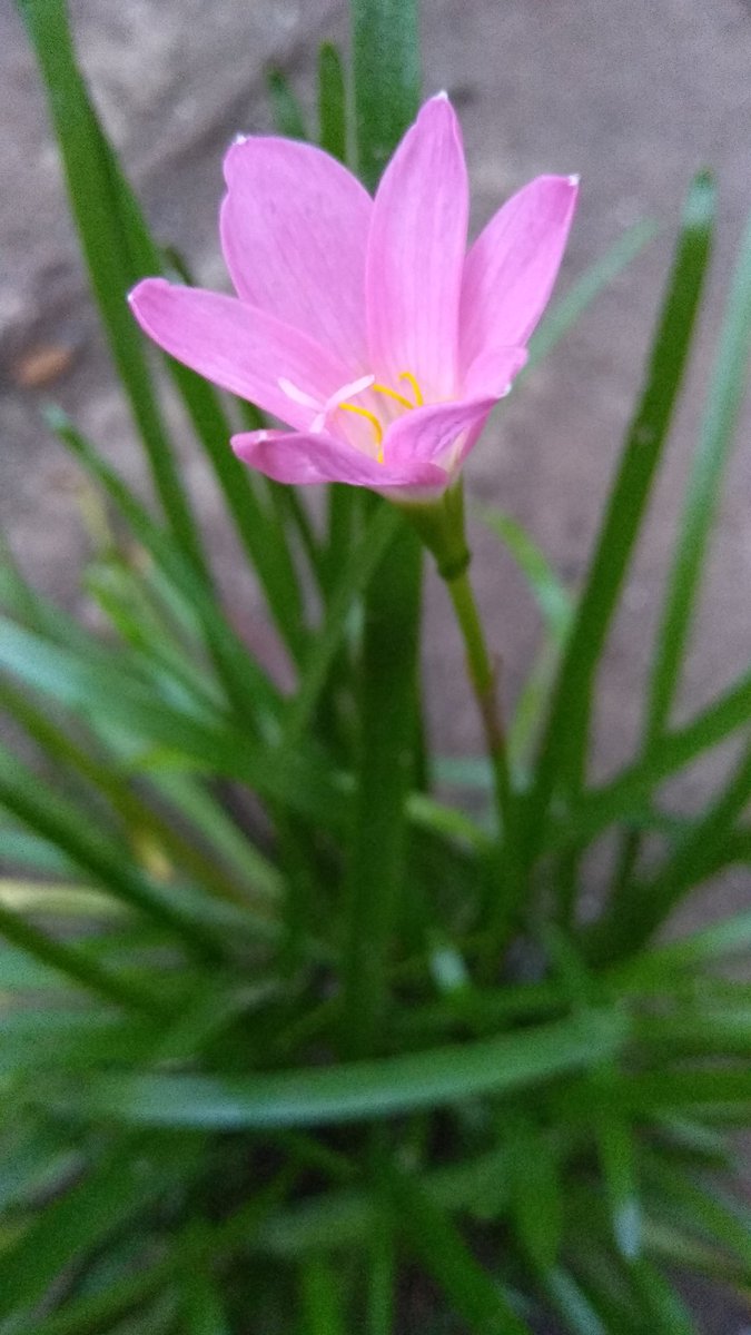 “Jika engkau mampu merubah kemungkaran dengan tanganmu maka ubahlah, jika engkau tidak mampu dengan tanganmu maka ubahlah dengan lisanmu. Jika engkau tidak mampu juga maka ubahlah dengan hatimu”