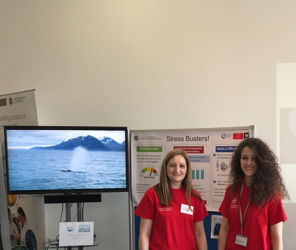 CortisolNetwork's tweet image. All ready with our 'Stress Busters' stand @NtlMuseumsScot 19th&amp;amp;20thApril for #MedicalFrontiers Talk to our researchers about cortisol, mass spectrometry, chromatography, health&amp;amp;whales @EdSciFest #EdUniEdSciFiFest @EdMassSpecCore @EdUniCVS @WhaleWiseLive @EdiburghCRF @ScienceUoE