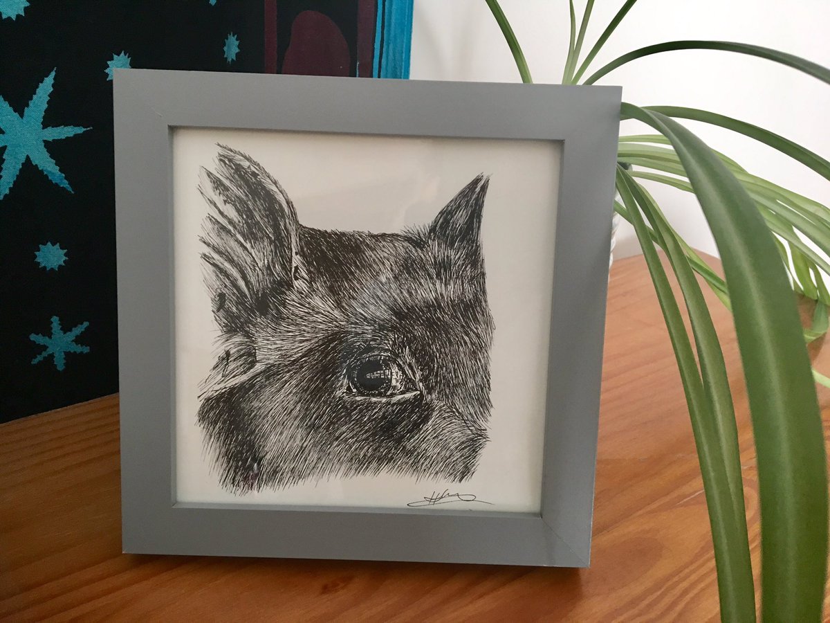 This piece is now available on my Etsy shop, original in ink, comes framed etsy.com/uk/shop/Little…