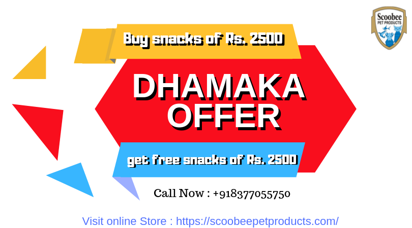 ScoobeePet's tweet photo. #petshop #onlinepetshop #onlinestore #petmart #wholesale #price #bestprice #competitive #competitiveprice #mypet #petlover #pet #lover #scoobeepetproducts

Get free Dog food Snacks of worth Rs. 2500 on purchase of at least Rs. 2500 Dog Food Snacks
https://t.co/a28wlixUGF https://t.co/ugdhbYlWqt