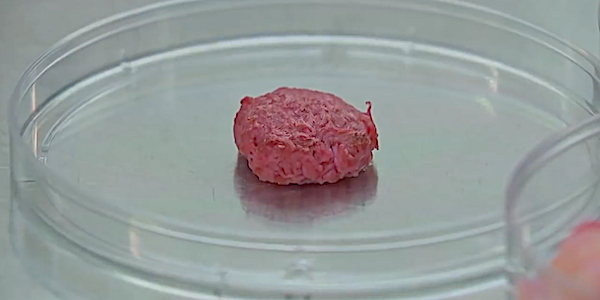 WikiAgri's tweet photo. Un mouvement d'initiative citoyenne s'oppose à la viande artificielle - par @AntoineJeandey - https://t.co/pKDIF4mZVC via @WikiAgri https://t.co/V32JPYM3ha