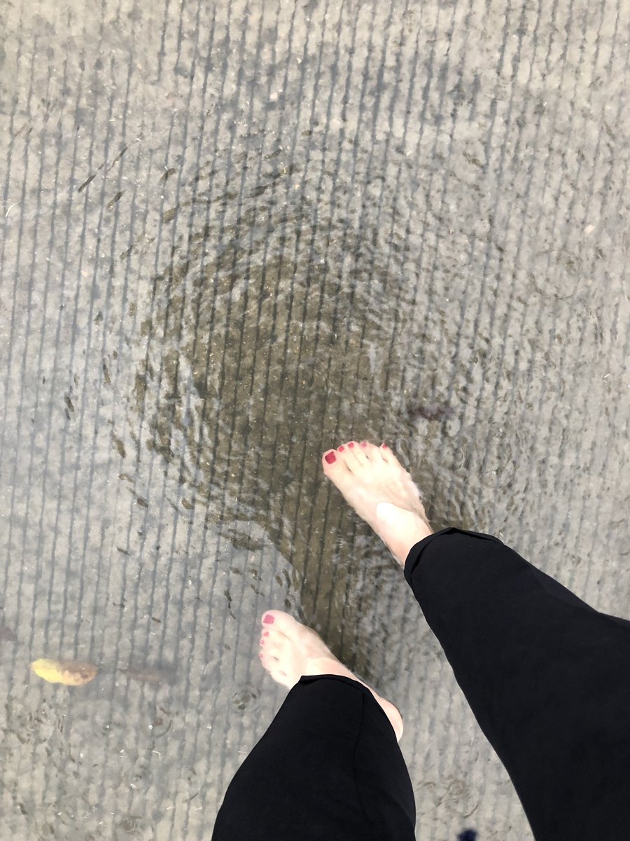 acblet's tweet photo. That day when it rained so much that the pavements were closed and you showed up to your meeting shoes in hands. #AfraidOfNothing https://t.co/YvY8y8bXVt
