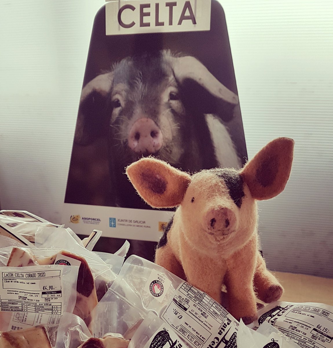 patacelta's tweet photo. O noso #porcocelta 🐷 foise á feira de #pedrafita do #cebreiro! Gastronomía, música e ambientazo de #semanasanta. Chámalle tonto ó porquiño!! 😂
@ASOPORCEL #cerdocelta @slowcompostela #slowfood #slowpork https://t.co/320WcXa3jP