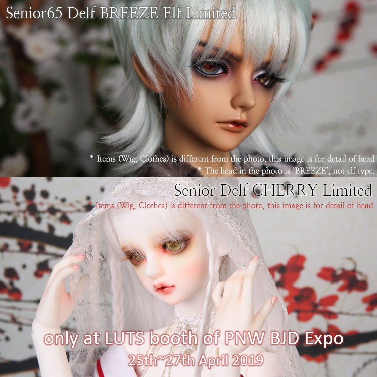 LutsOfficial's tweet photo. LUTS X PNW BJD expo celebration - Retweet &amp; Share EVENT! Please share this post to your friends! We pick 5 people &amp; send the gift<3
GIFT  - $20 coupon for https://t.co/FjhNVTzhTv!
Announcement : 23th April 2019, 11:00 a.m. (KST)
 #lutsdoll #luts #bjd #Senior65 #KidDelf #TinyDelf https://t.co/dXfhjK3iDk
