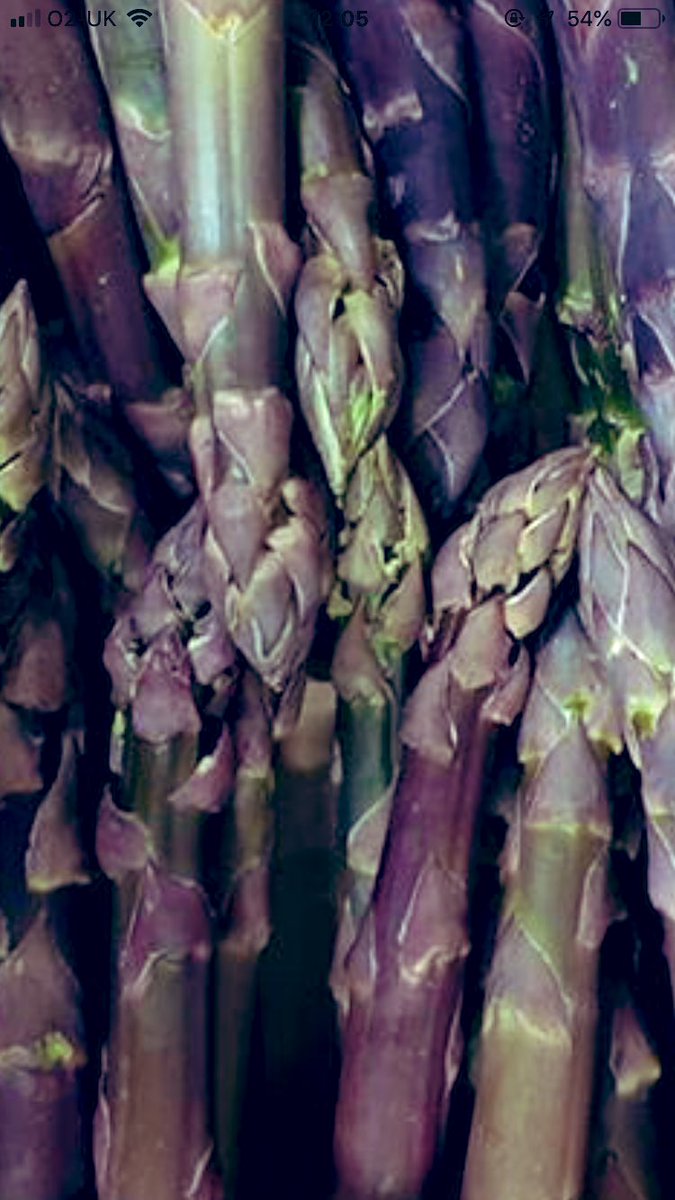 Johno gardiner tweet media