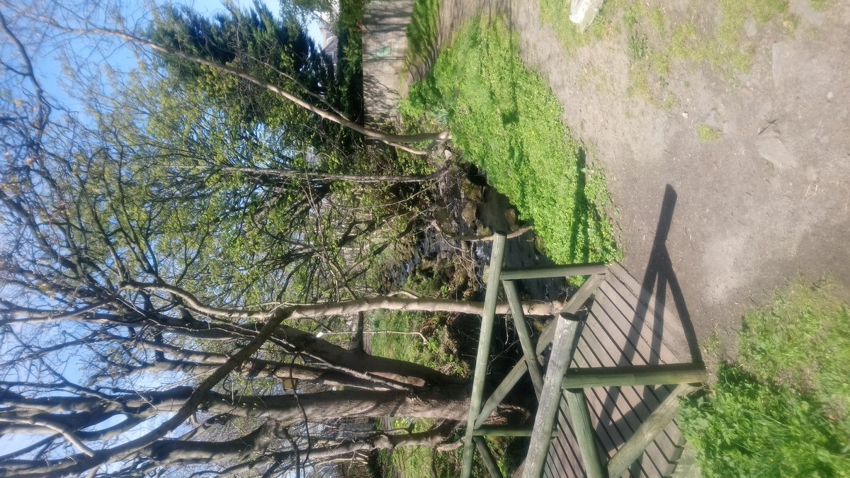 thisisjohnroach's tweet image. Enjoying the near perfect day in #Aberdeen. Seen dippers and a heron in this wee burn. #joyofspring