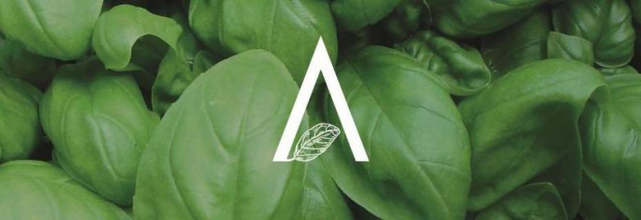 InformaCibo's tweet image. #Aromatica a #DianoMarina, eccellenze in scena.

Per 4 giorni il Golfo dianese sarà palcoscenico del grande evento dei profumi e dei sapori della Riviera ligure.

informacibo.it/aromatica-dian…