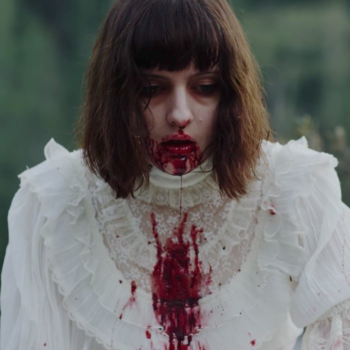 WolfieVibesPublicity tweet media