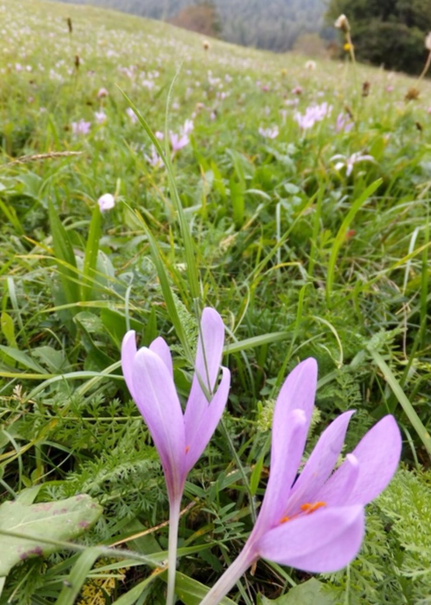 私だったらこうするって思うことを、人も同じだとは限らない。
でも…
みんなそれぞれの思いがあって、誠実に行動してくれてるんだね🥰