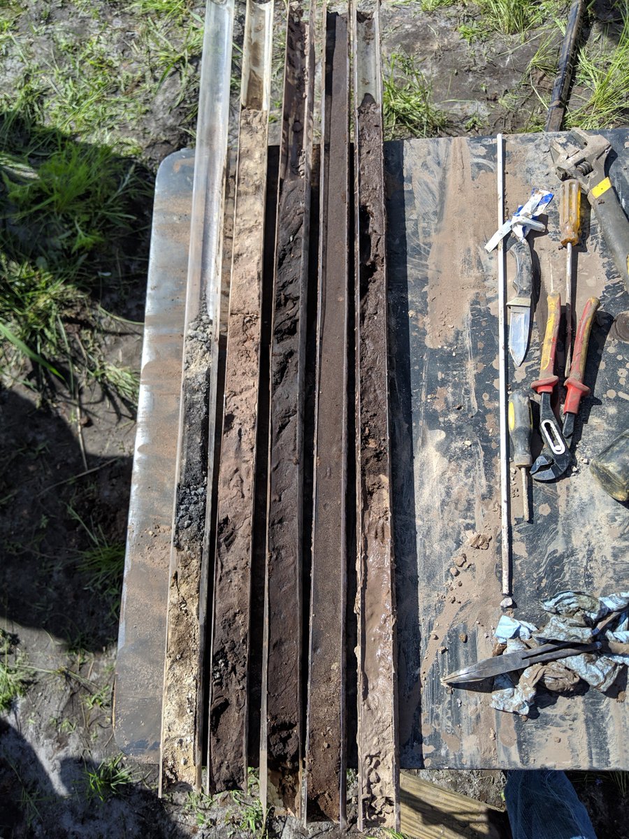 SoilWaterSci's tweet photo. Dr. Bacon's Environmental Pedology class took a trip to the @ufifasnfrec. @SoilWaterSci doctoral student Victor Guerra led a Geoprobe exercise to observe how deep soil hydrology influences regional carbon cycling. 
@GeoprobeSystems https://t.co/syz1fWLpWZ