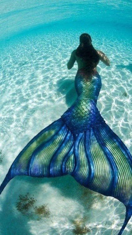 Inwaterwelive's tweet photo. How I imagine my tail would be 🧜🏽‍♀️💫🌊 https://t.co/yZUEn6iNVb