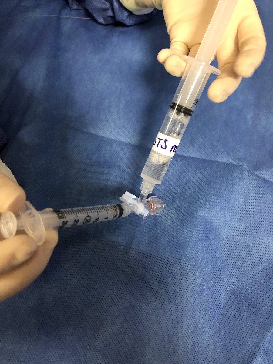 Stefanie Rockwood tweet media