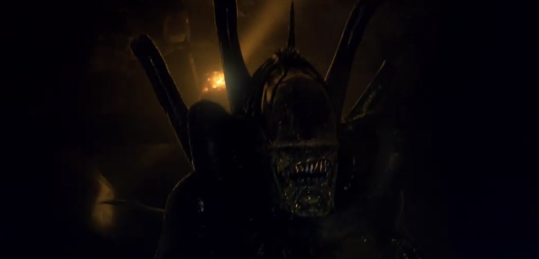 Alien Vs Predator Galaxy On Twitter Alien Ore Released New Alien