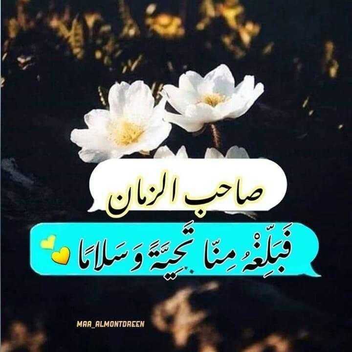 #وفي يوم الجمعه يارب بُشرى تشبه الغيث، وفرحة تمحو كل حزن، وفرج لكل صابر، وشفاء لكل مريض ورحمة لكل ميت واستجابة لكل دعاء.

#جمعه_مبارڪه 
اللہم صل ؏ محمد وآل محمد 
#اللهم_عجل_لوليك_الفرج 
#مولد_الفرج_الاعظم 
#كروب_المنتظر_عج