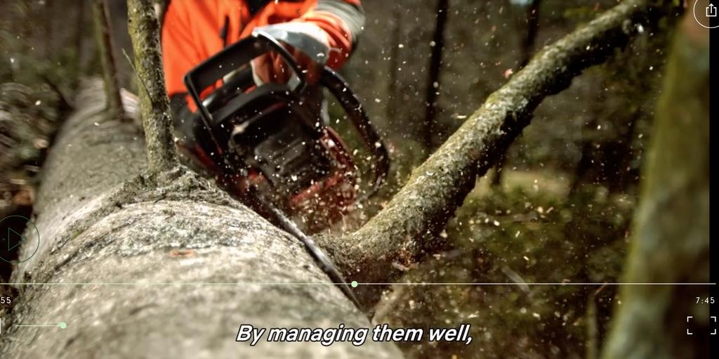 TilhillForestry's tweet photo. "By managing them well we can work with their natural resilience to keep them standing"
Watch in full here https://t.co/nTuMkb509k
#ShareOurPlanet #ForestManager https://t.co/nhp8l6kcKC