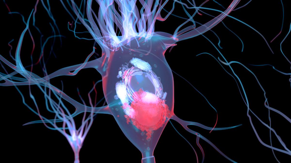 roottie420's tweet photo. Cannabis Is Gaining Recognition For Treating This Disease | Roottie https://t.co/bsVI6HYs3j
#medicalcannabis #parkinsonsdisease https://t.co/Ms2TpkVUaf