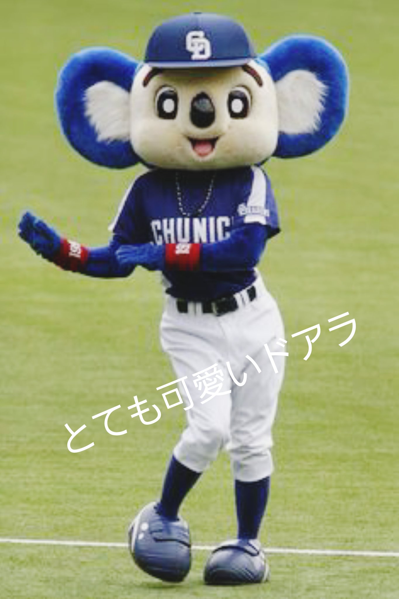 ドアラ大好き Twitter Search Twitter