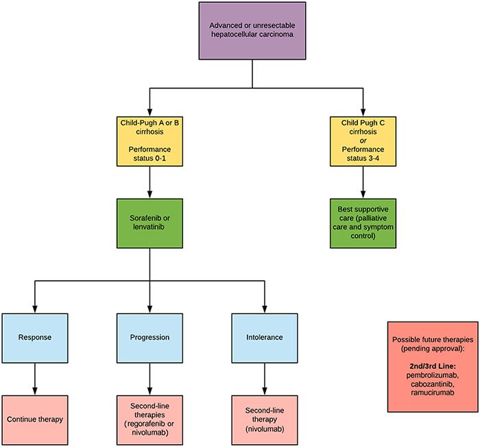 AASLDtweets's tweet photo. From @CLD_Learning: "Treatment for Advanced Hepatocellular Carcinoma: Current Standard and the Future" https://t.co/PzAaIaHFx3 #HCC #AASLDjournals https://t.co/pBjIGnEHFS