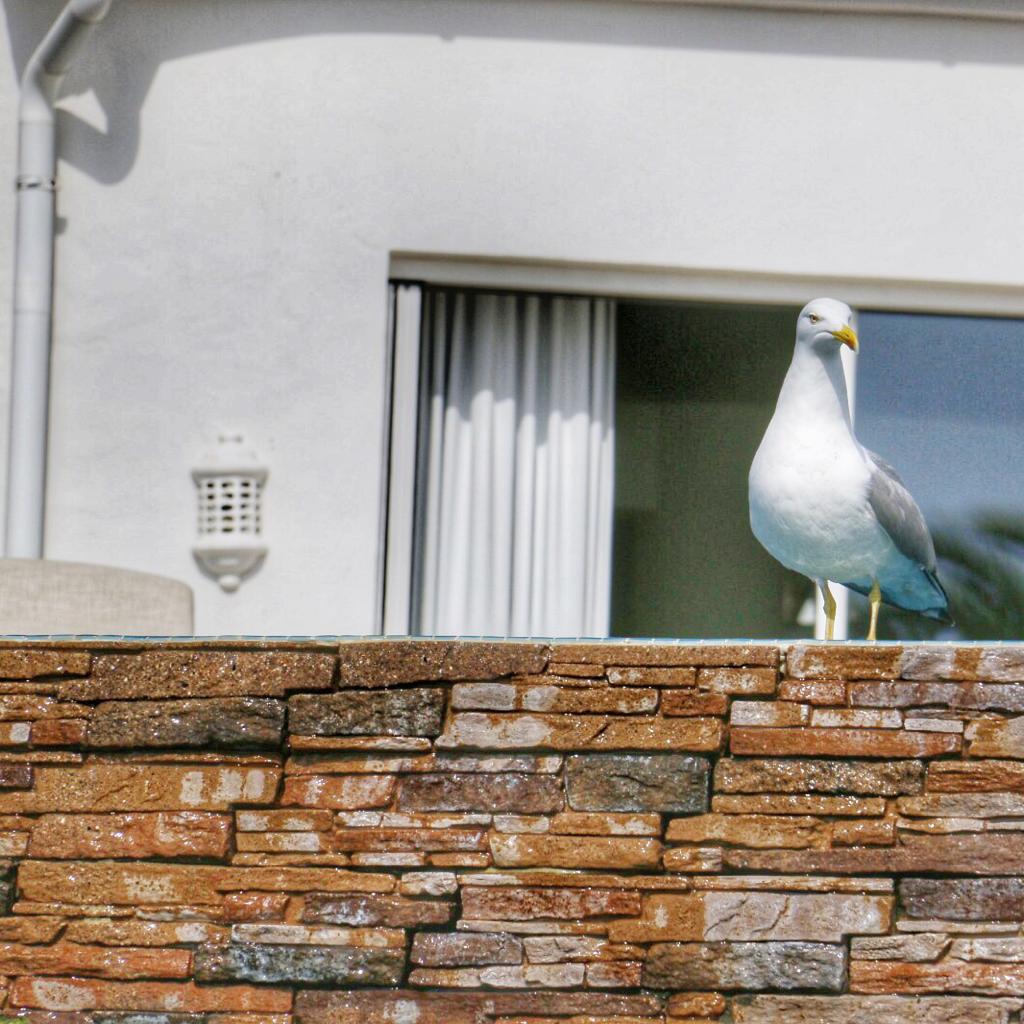 Vila Vita Parc tweet media