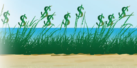 Jane4Raleigh's tweet photo. Rural communities near NCs coast are neither consistently prospering nor uniformly in decline. Check out the newest @SeaGrantNC Blue Economy issue to learn about population and economic change in the region. https://t.co/6bUG9NtB61 https://t.co/XAIBjgwBqv