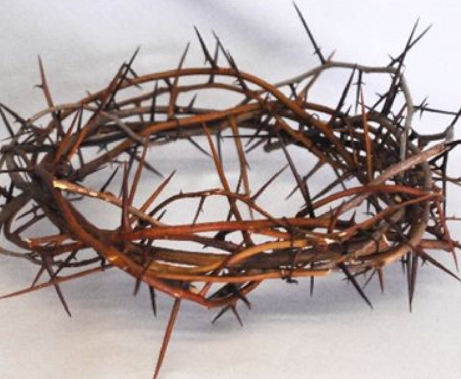 lorisica's tweet image. #lovemadehimdoit