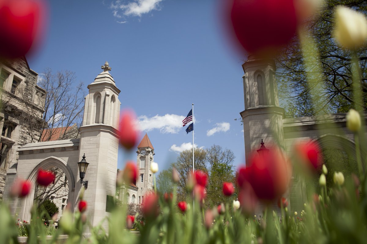 It's tulip time. 🌷