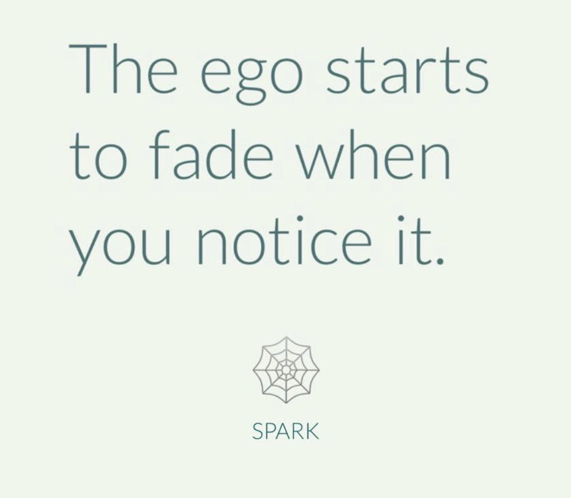 1 reply 25 retweets 75 likes - 75 best twitter images in 2019 twitter followers accounting bedroom