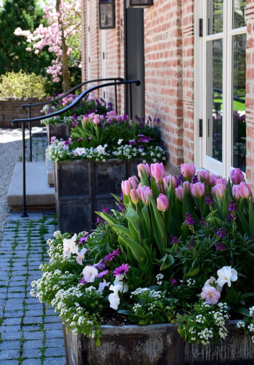 TweetyGeorgette's tweet image. Whether You’re Hunting For Ideas For 🐣Easter Decorating Or Just Hoping to Admire Some Beautiful Spring Blooms, Take A Look At These 10 Ideas For Potted Arrangements 💁🏽‍♀️ 🌈 🖌houzz.com/magazine/10-pr… via @houzz #SpringDecorations #HappyWifeHappyLife