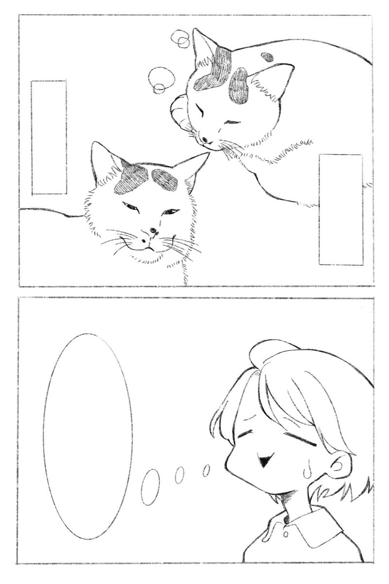 こんな感じかな…
前よりはいいかも。
#猫 