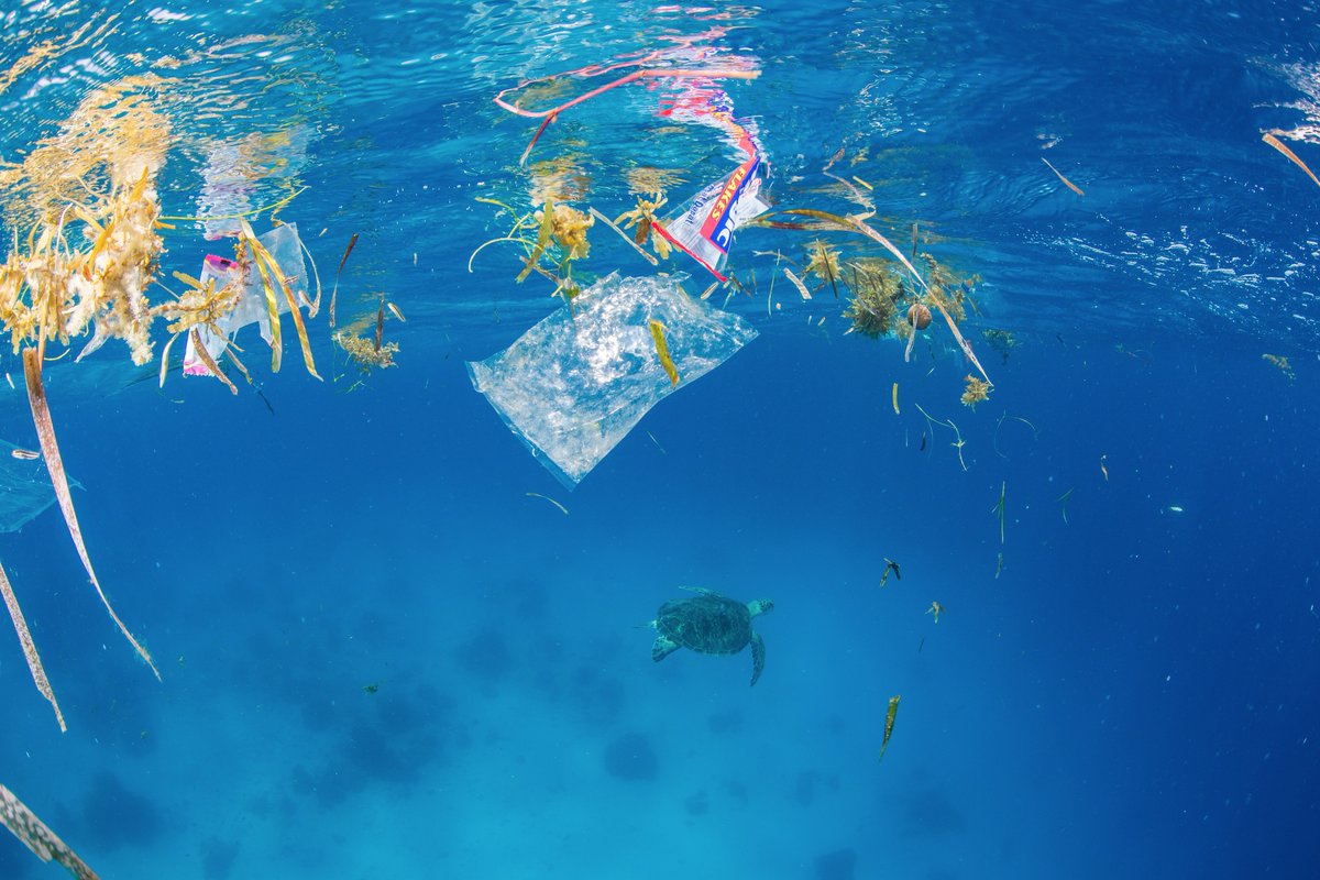 IBM's tweet image. VolCat is a chemical catalyst developed by #IBMResearch. Learn how this new recycling method can help us put plastic back on the shelf and out of the ocean: ibm.co/2VfwavW #EarthDay