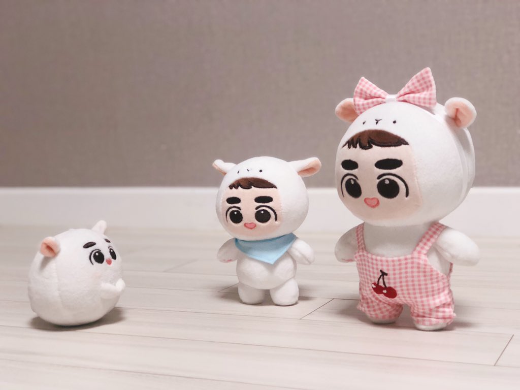 som_DO_12's tweet photo. @dyolambpics 설때까지 계속 왔다갔다 중심 잡아줬어요 ㅋㅋㅋ🤣🤣 https://t.co/oo1VI8mh6S