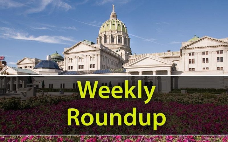 RepHelm's tweet image. Find out what&apos;s been happening at the Capitol in this week&apos;s Roundup. 
bit.ly/2UrVbjd #PAHouse