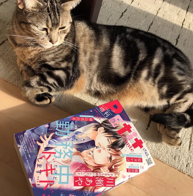 ?お知らせ?
ただ今発売中のプチコミック増刊春号に猫ショート「にゃんDK」掲載していただいてます!飼い主マキが留守中におこわが出会ったのは…?よろしくお願いします(=^x^=) 