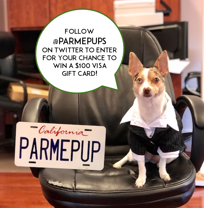 ParmePups's tweet photo. $100 for 100 Giveaway! Follow us on Twitter @ParmePups and RT this tweet for your chance to win! Once we reach 100 followers, we will choose one person to win a $100 visa gift card 🥳 https://t.co/6F1rPSdu3J