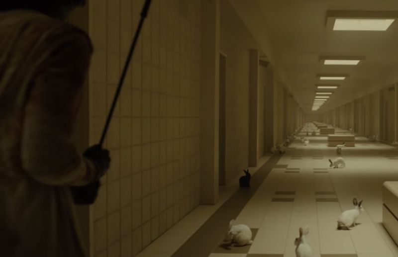 PetalFor's tweet photo. 3. If you’ve seen “Us”, you’ll know that rabbits are inherently creepy and not to be trusted.  Whereas I’m fairly sure that there has never been a horror film made about shih tzus - we're just too adorable! @UsMovie https://t.co/nMhmznruHr