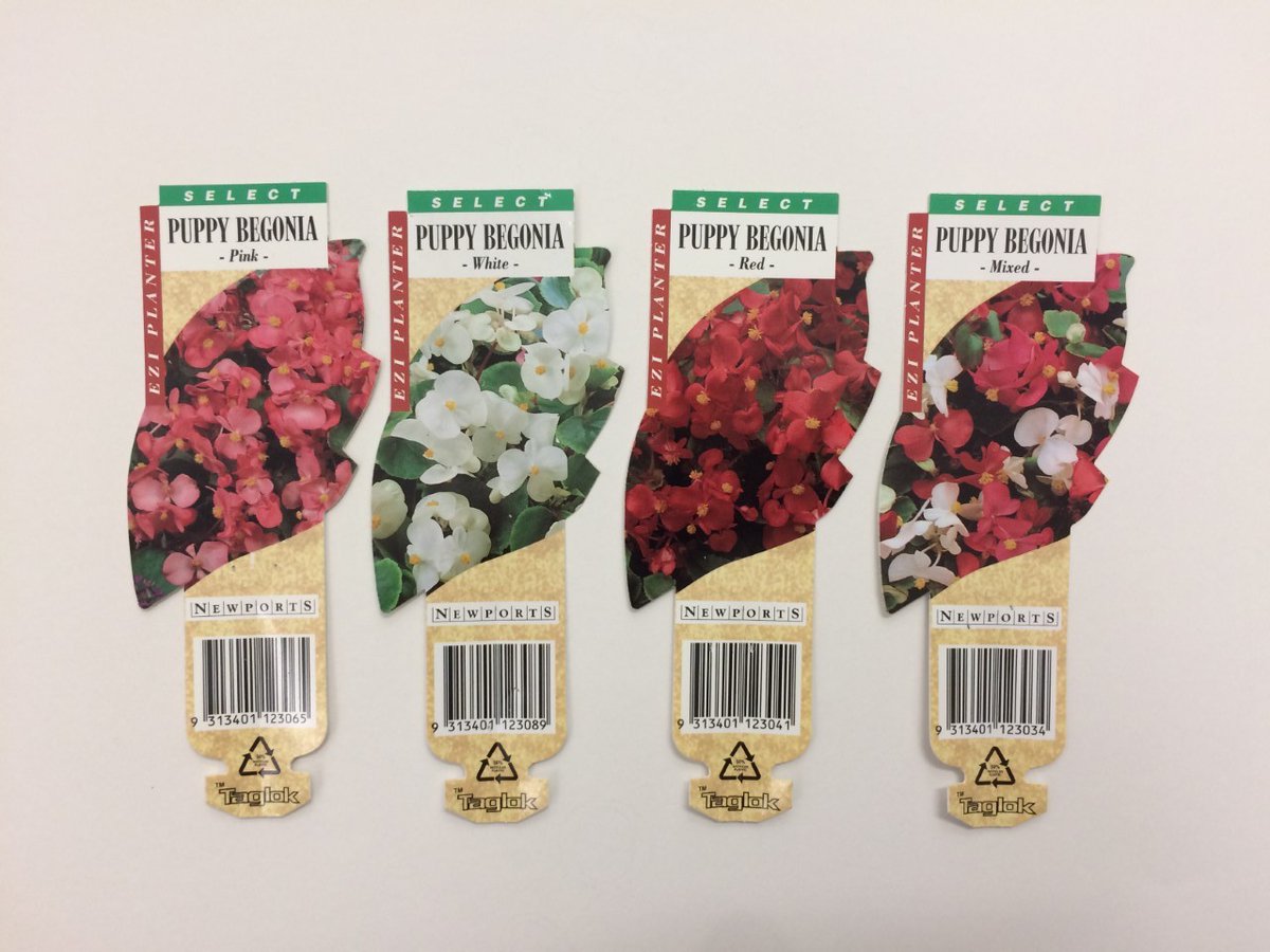 KaldorPublicArt's tweet image. They may appear humble, but in our archive we have #ACollection of very important seed packet labels saved from our 1995 project by @JeffKoons with @MCA_Australia and @sydney_festival. Koons's enormous #Puppy sculpture was covered in 60,000 flowering plants #Archive30