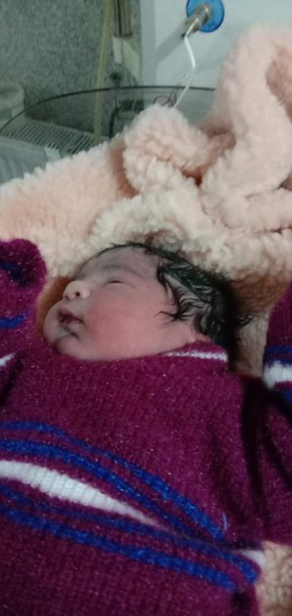 View image on Twitter