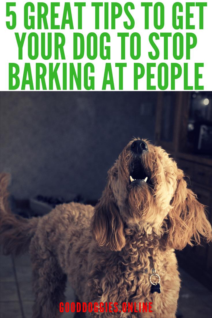 Good_Doggies's tweet photo. "One of the reasons why guests make dogs anxious is because they arrive in your home when your dog is inside and your dog feels boxed in by the threat" https://t.co/u51VyghtnF #Dogs #Barking https://t.co/ogzwtnH7lU