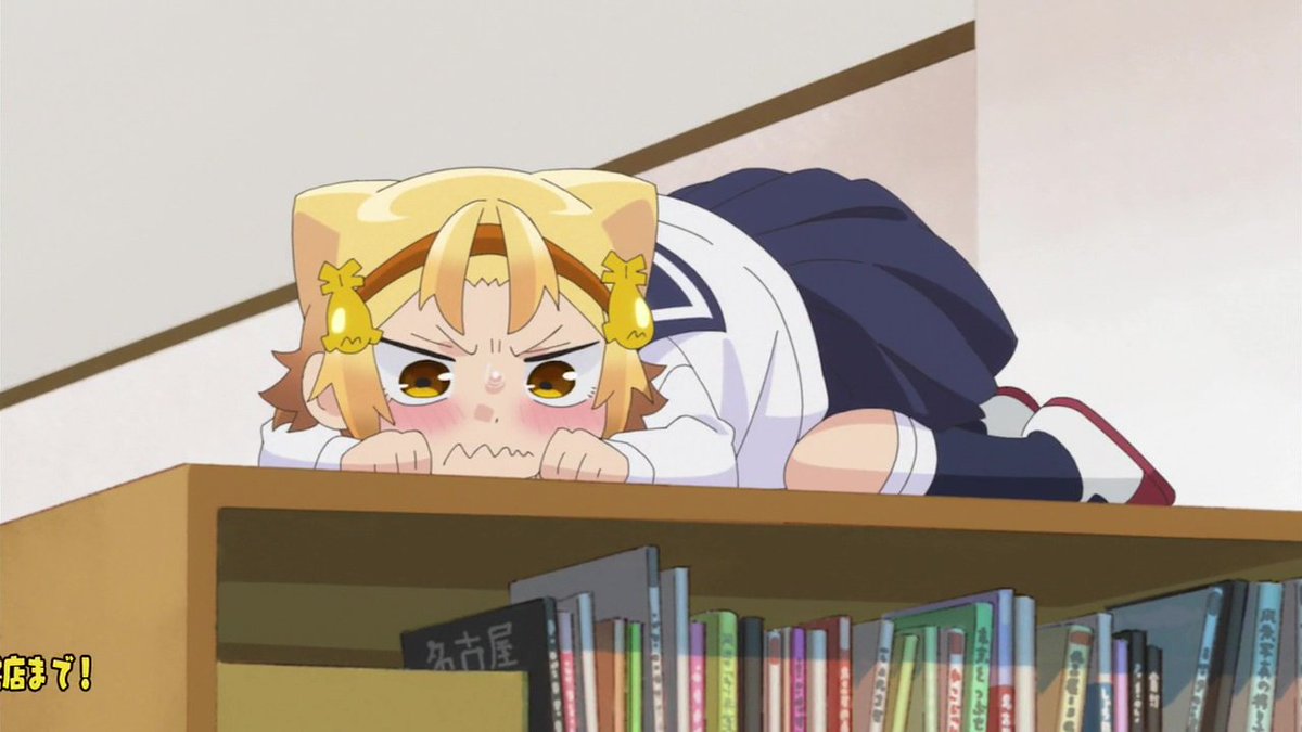 Hs Twitterren もうこれ猫じゃんｗ かわいいけど W やとがめちゃん 八十亀ちゃんかんさつにっき