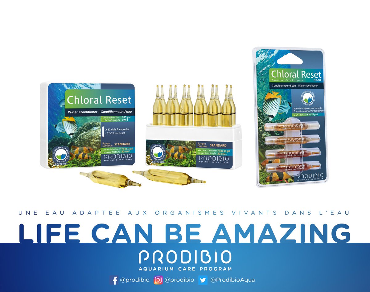 ProdibioAqua's tweet photo. #waterconditioner #chloralreset #prodibio #AquariumCareProgram 
#lifecanbe amazing ! https://t.co/yguQlpK80Q