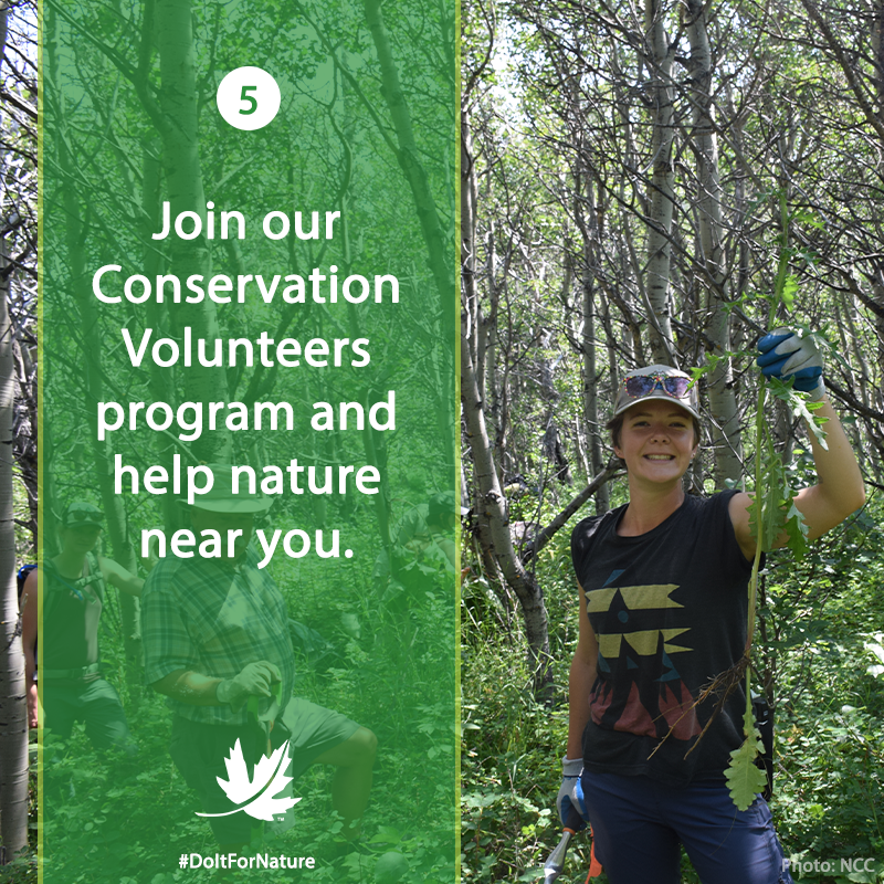 NCC_CNC's tweet photo. April 22 is #EarthDay! To celebrate, this week we’ll be sharing seven simple things you can do for nature. #DoItForNature 

Number 5: Join us at a Conservation Volunteers event! Learn more and find an event near you: https://t.co/ukhC2c6U4K #NCCVolunteers https://t.co/by0lqsCQZ8