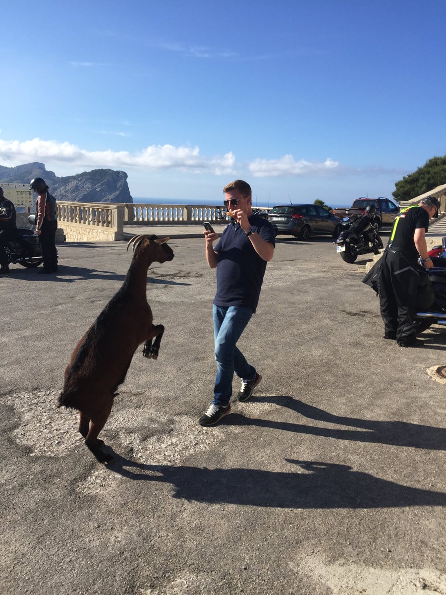 OnCueComms's tweet photo. As we spend most of our time filming outdoors, it’s not uncommon for us to be #photobombed by animals who are curious about what we’re up to. From huskies to ponies, hawks to ill tempered swans I think we’ve seen enough to start an Attenborough series! https://t.co/hVJATDmrrz