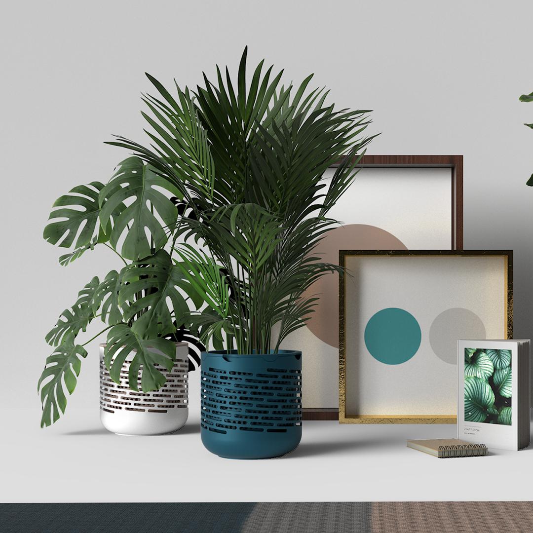 gro2breathe's tweet photo. Air purifying planters in 9 different colours...mix and match, switch and swap, or just keep it simple. Find the planter that works best in your space.
#Kickstarter now live link in BIO. ⠀
#indoorairpollution #plants #airpurifying #kickstartercampaign https://t.co/3EO4o0cNFX